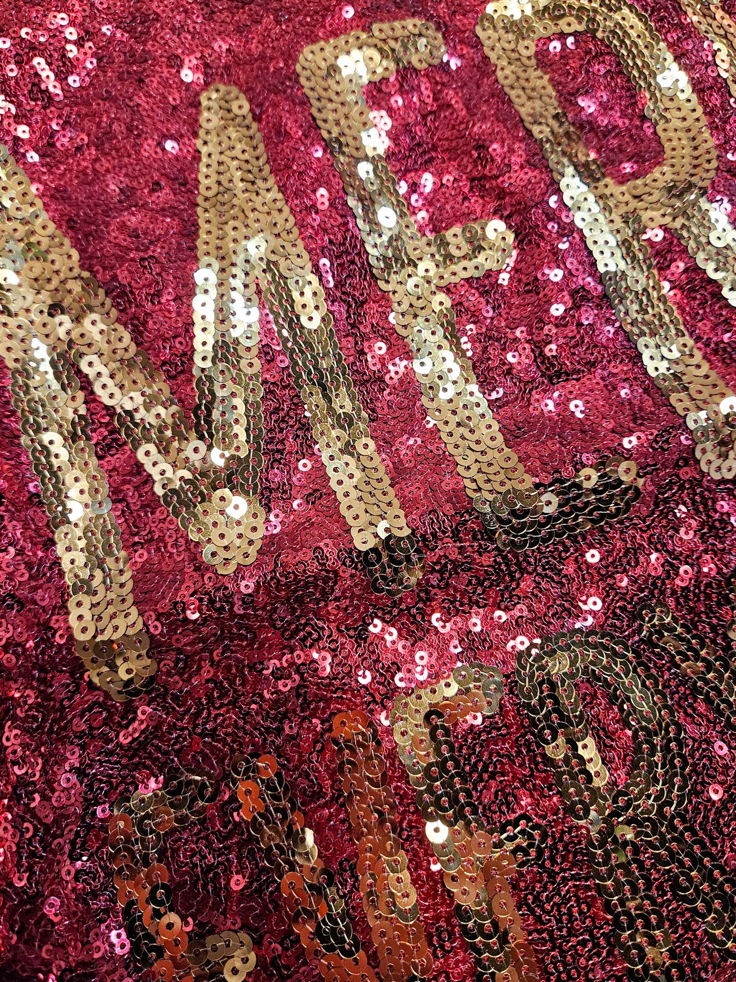 Luxe Sequin Dress - Merry Everything
