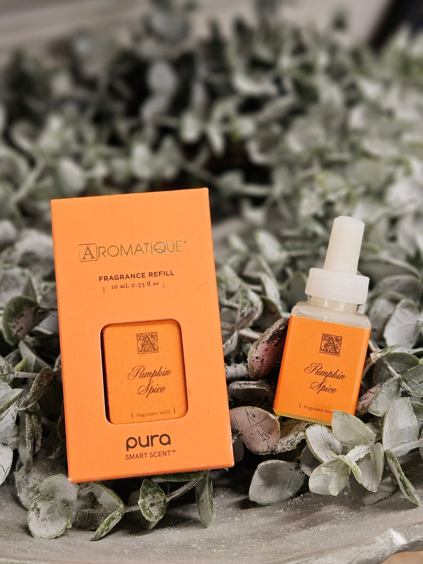 Pura Home Fragrance- Pumpkin Spice