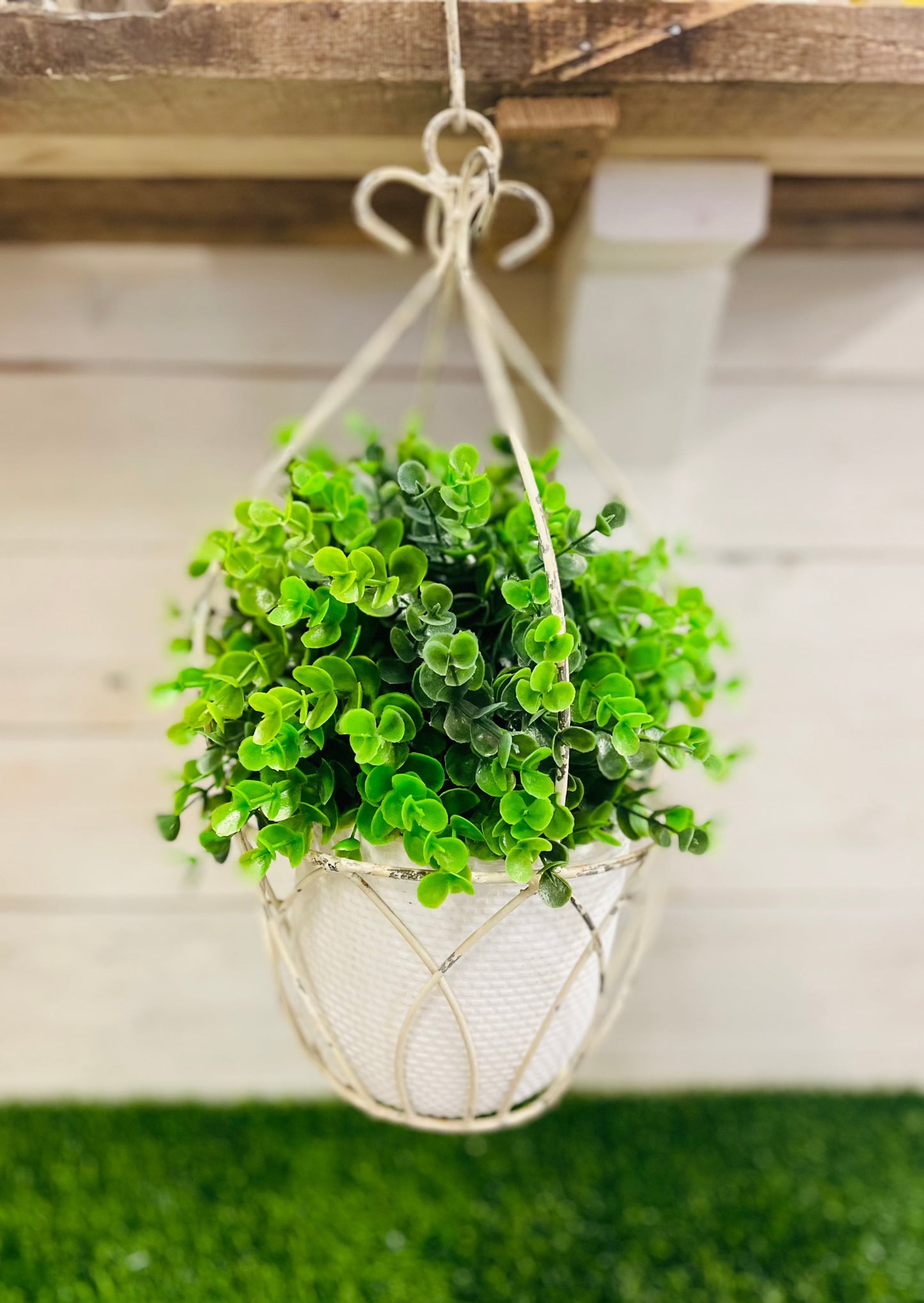 Plant Hanger