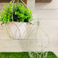 Plant Hanger