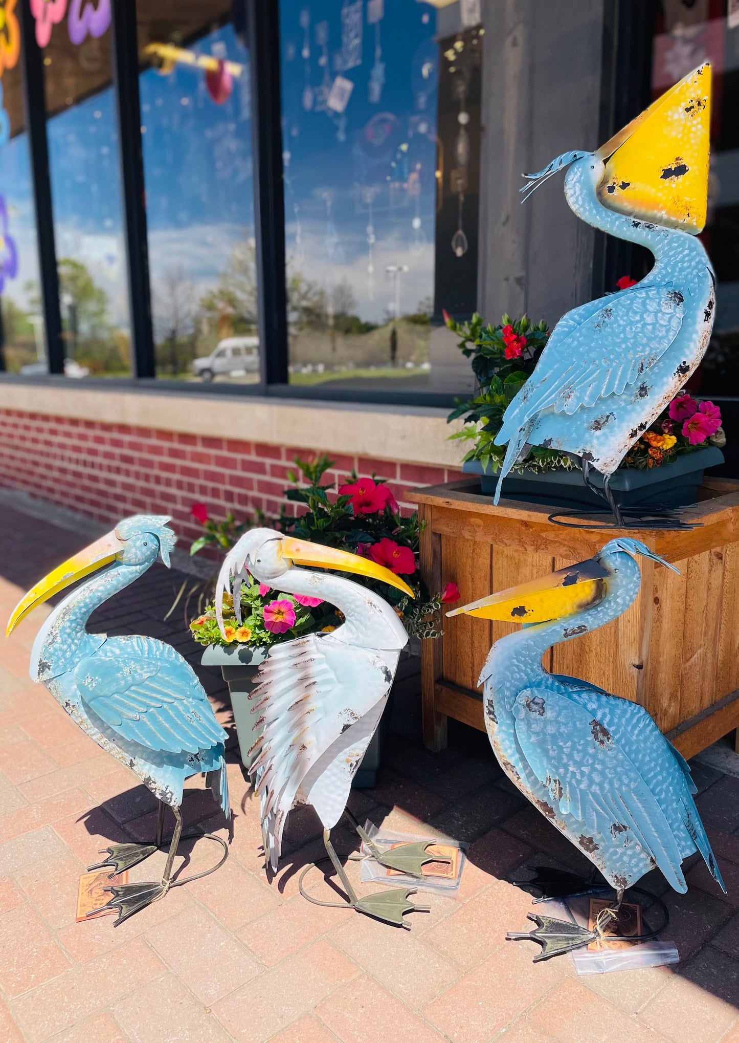 LOUISIANA PELICANS