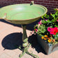 Alexander Birdbath