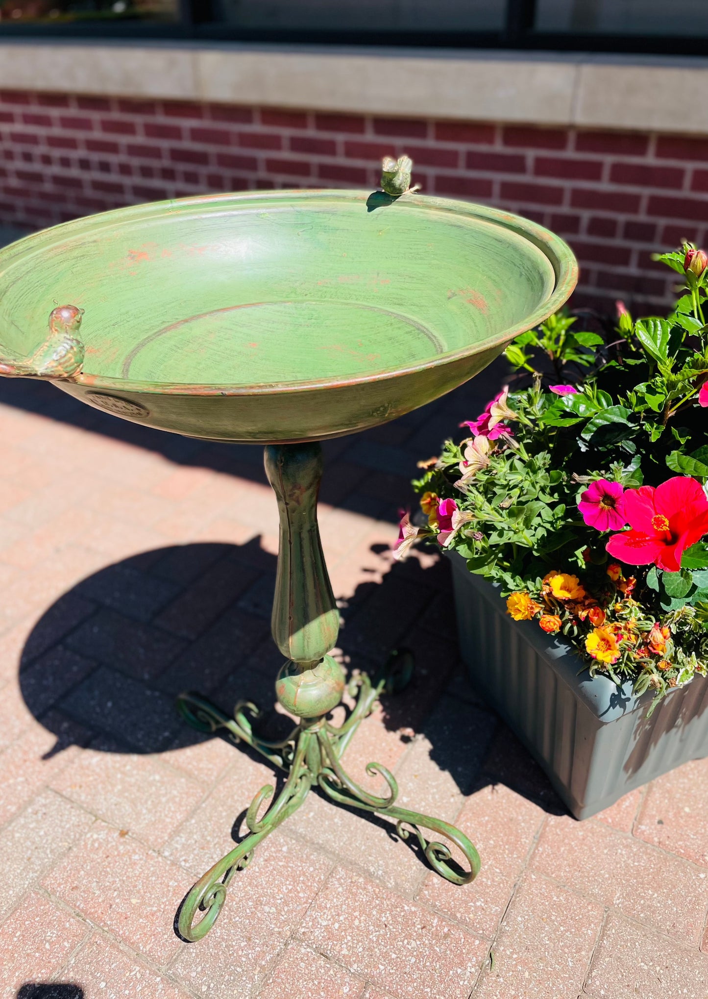 Alexander Birdbath