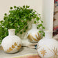 Goldie Turnip Vase
