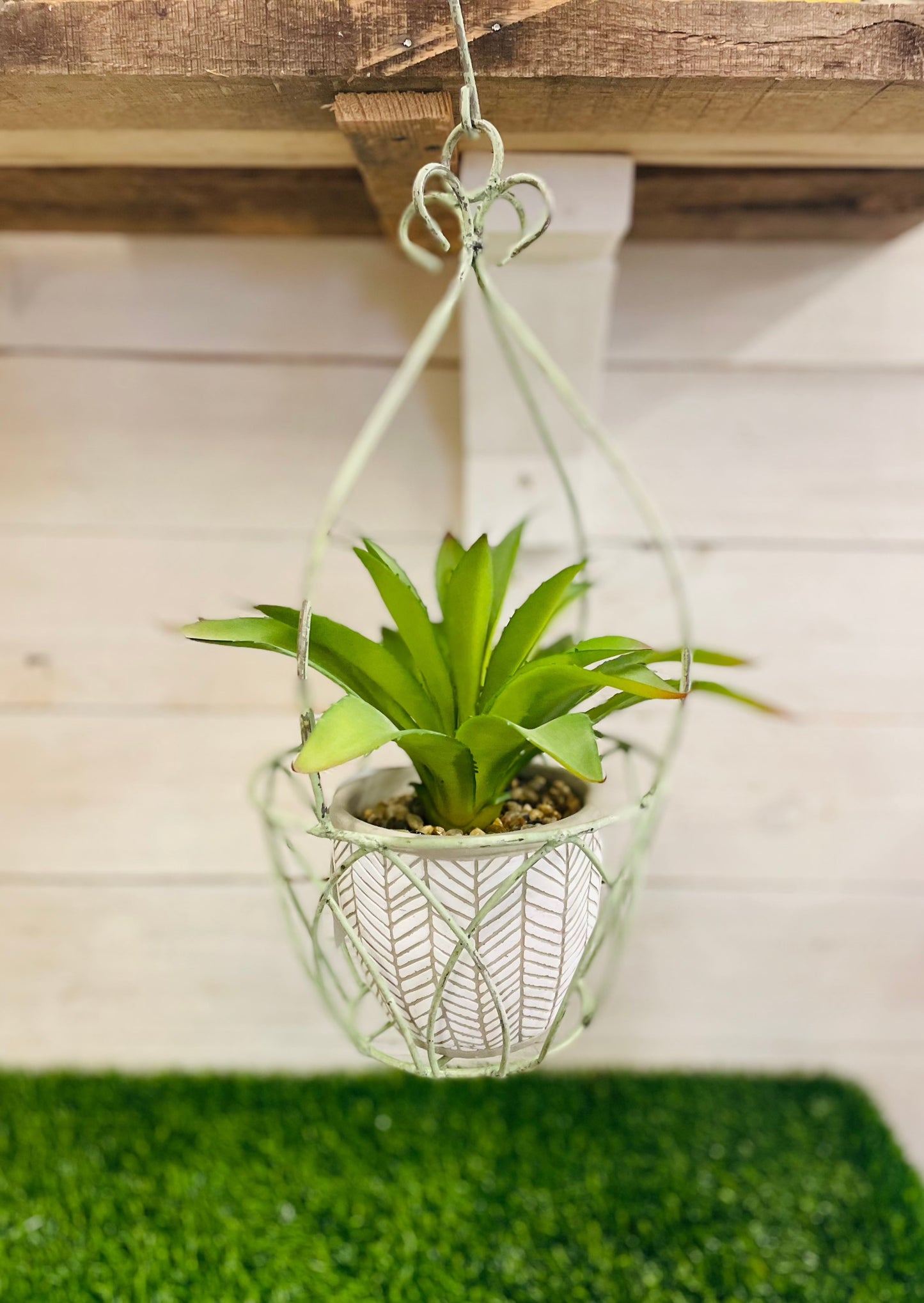 Plant Hanger