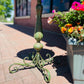 Alexander Birdbath