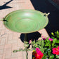 Alexander Birdbath