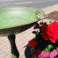 Alexander Birdbath